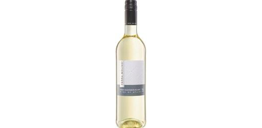 Terra Molino Sauvignon Blanc