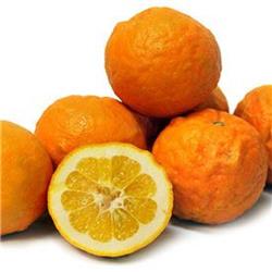 Oranges Seville/Marmalade
