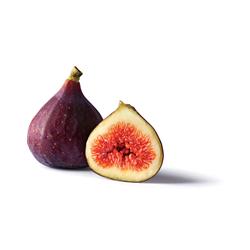 Fig Fresh