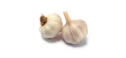 Garlic 4 Pack