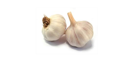 Garlic 4 Pack
