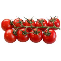 Tomatoes English Cherry Vine (FIRST OF THE SEASON)