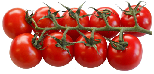 Tomatoes English Cherry Vine (FIRST OF THE SEASON)