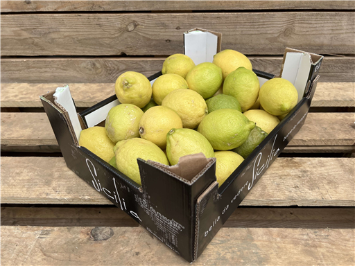 Organic Lemons 'Bianchetto'