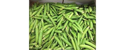 Peas In The Pod 250g Bag