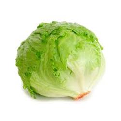 Lettuce Iceberg