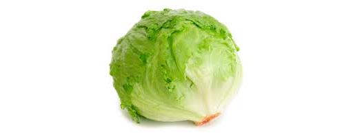 Lettuce Iceberg