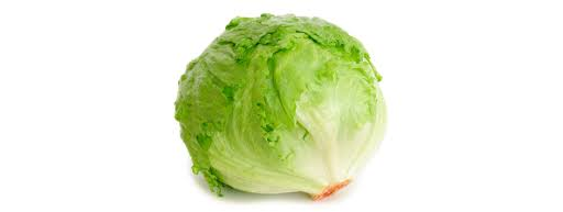 Lettuce Iceberg