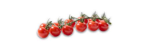 Tomatoes Cherry-Vine