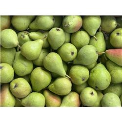 Organic Concorde Pears