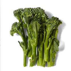 Broccoli Tenderstem