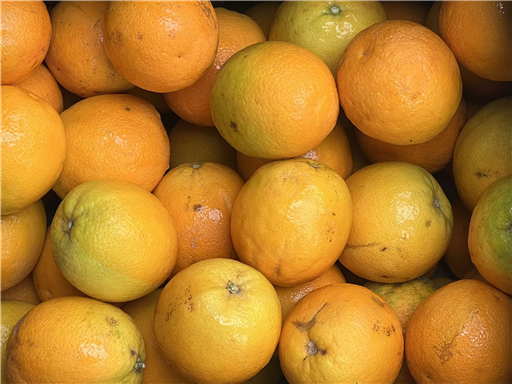 Organic Oranges