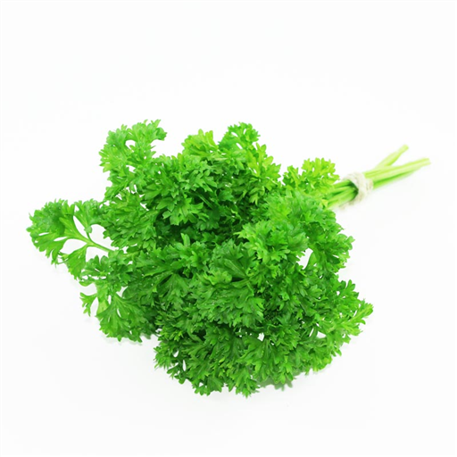 Herb Curly Parsley 20g