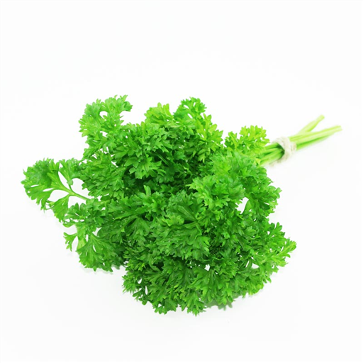 Parsley 25g