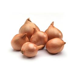 Shallots Round