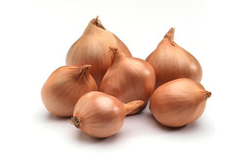 Shallots Round