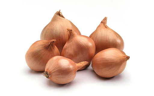 Shallots Round