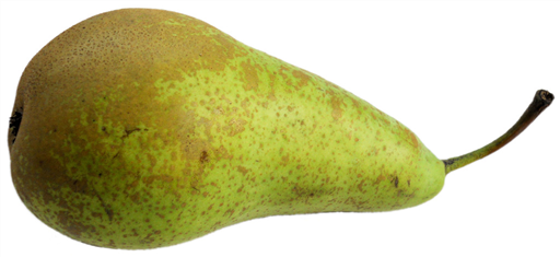 Conference Pear Pack
