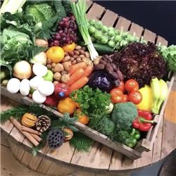 Family Christmas Box - Standard Size (for 4+)