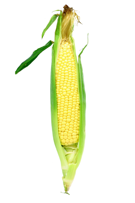 Sweetcorn - Corn On The Cob