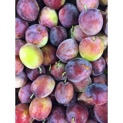 Plums Victoria Pack