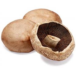 Mushroom Portobello