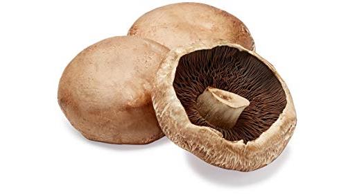 Mushroom Portobello