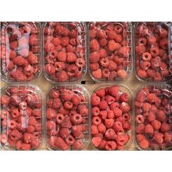 Organic Raspberries 125g
