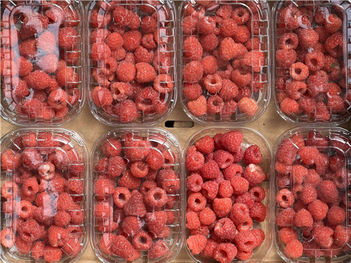 Organic Raspberries 125g
