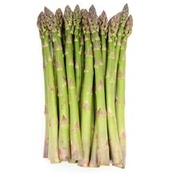 Asparagus Bunch New Season English