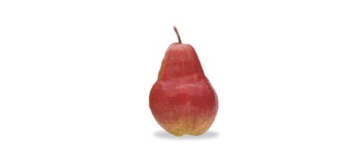 Pears 'Cape Rose/Cheeky '