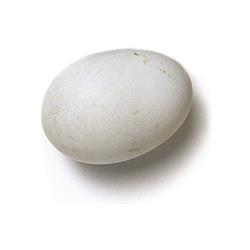 Eggs - Duck Egg