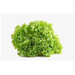 Lettuce Crispy