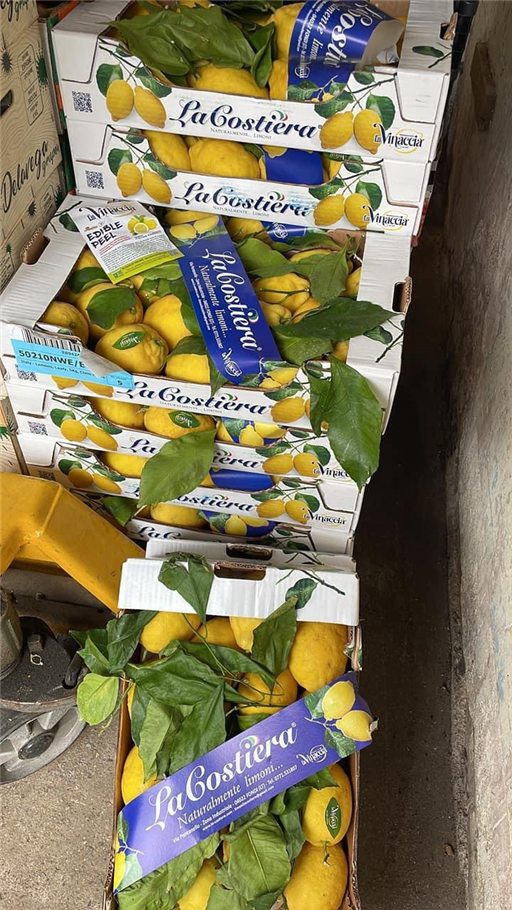 Organic Lemons