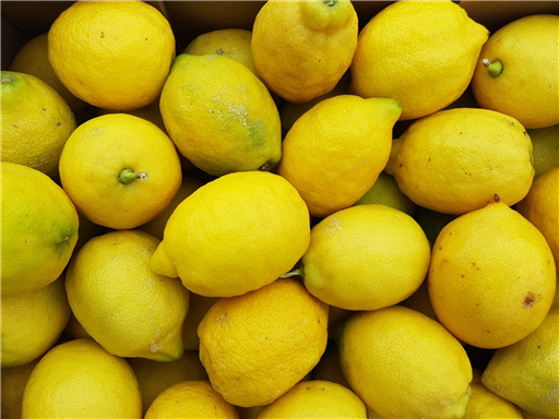 Organic Lemons 'Primo'