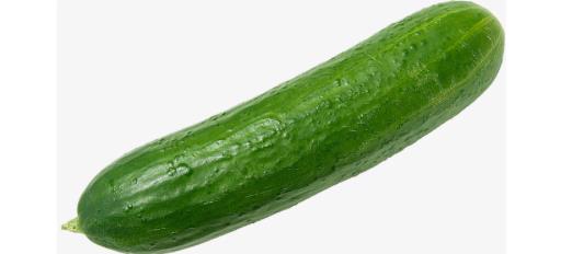 Cucumber Whole