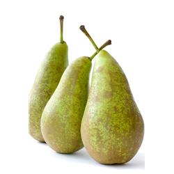 Pear Conference