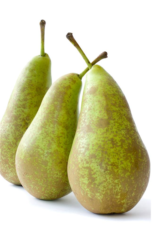 Pear Conference