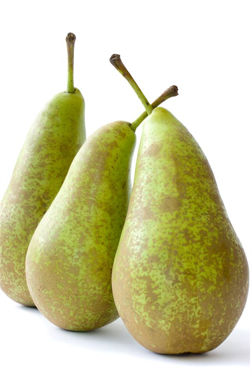 Pear Conference (176g)