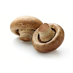 Mushrooms Brown Cap