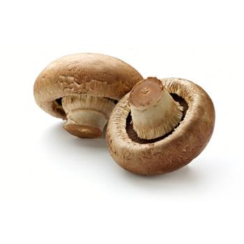 brown cap mushrooms