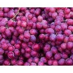 Organic Seedless Flame Grapes