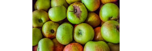 Organic Bramley Apples