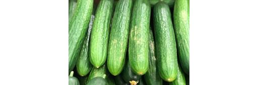 Cucumbers Mini