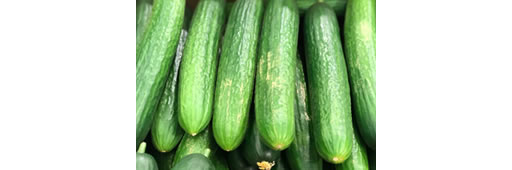 Cucumbers Mini