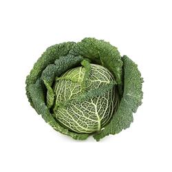 Cabbage Savoy