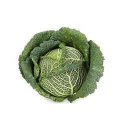 Cabbage Savoy New Season