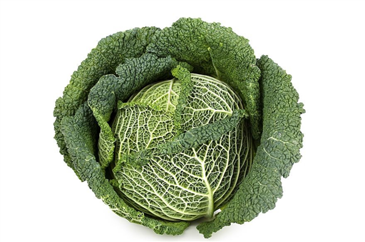 Cabbage Savoy