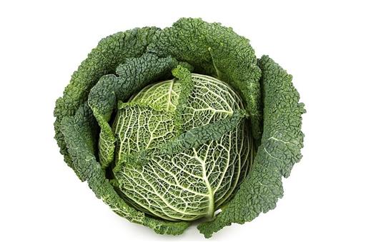Cabbage Savoy - NEW SEASON ENGLISH