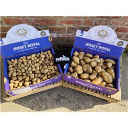 Potatoes Jersey Royals